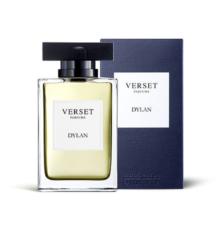 A rectangular bottle of Verset Dylan (100ml) is shown beside its navy blue box. It features fougere woody notes, a black cap, and a white label with black text. The box displays the Verset brand and product name in white text.