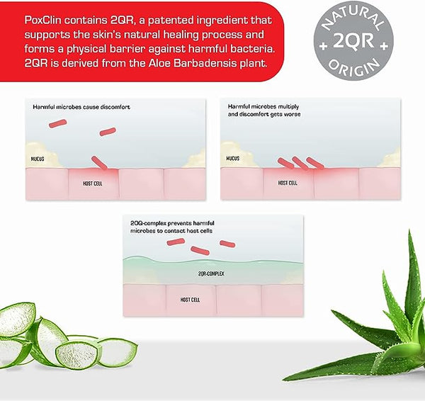 A three-panel diagram details Poxclin Cool Mousse (100ml)s 2QR ingredient for chickenpox relief, illustrating harmful microbe interaction with host cells and 2QRs preventive action, emphasizing its natural origin. Aloe vera leaves, symbolizing their cooling and soothing effects, are showcased at the bottom.